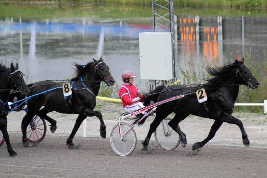 Gene Mutation: No Performance Effect in Coldblooded Trotters