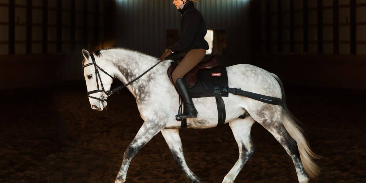 Resistance Bands Help Strengthen Horses' Core Muscles