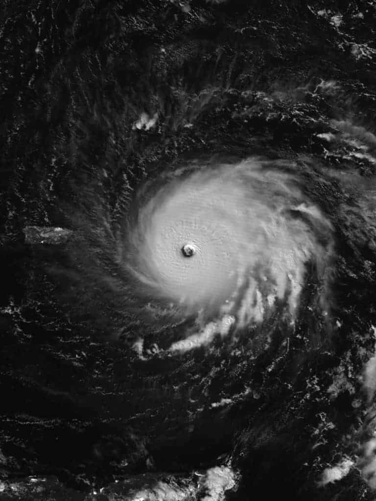 Florida Horse Owners Brace for Hurricane Irma