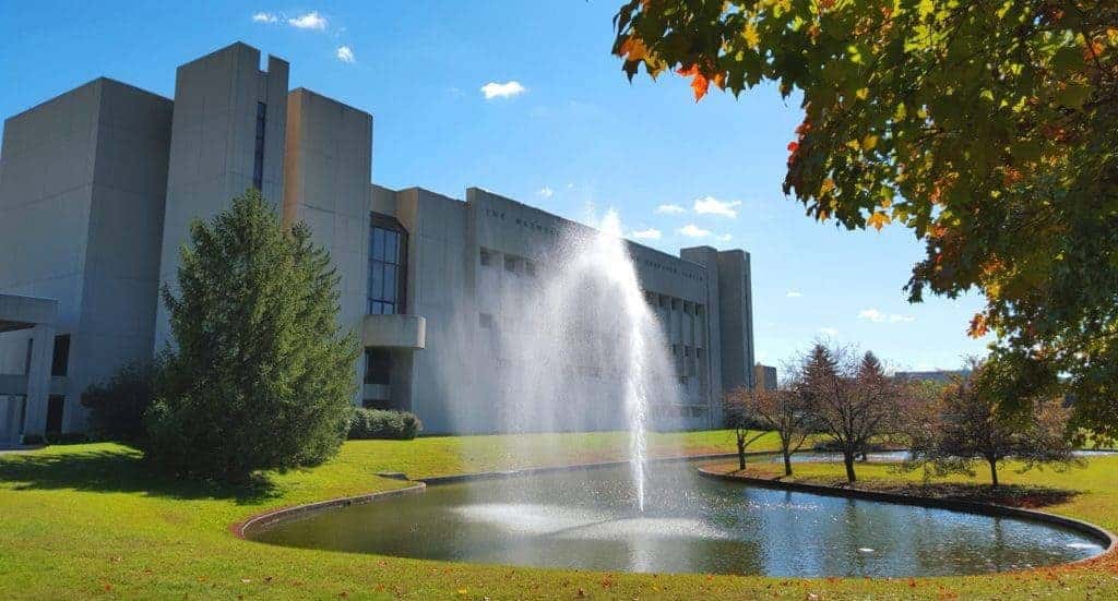 Gluck Center Celebrates 30 years of Improving Horse Health