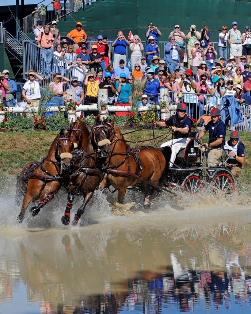 Definite Entries for All Disciplines at 2014 WEG Confirmed