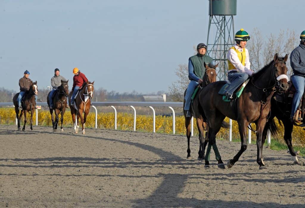 Surface Testing; Keeping Horse and Rider Safety in Mind