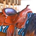 Deconstructing the Saddle Pad