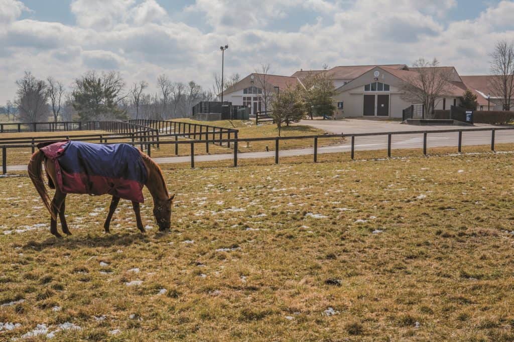 Hagyard Equine Medical Institute Merges With MAVANA
