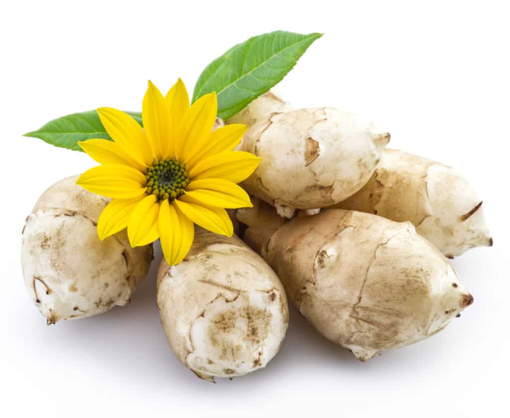 IR horses, jerusalem artichoke