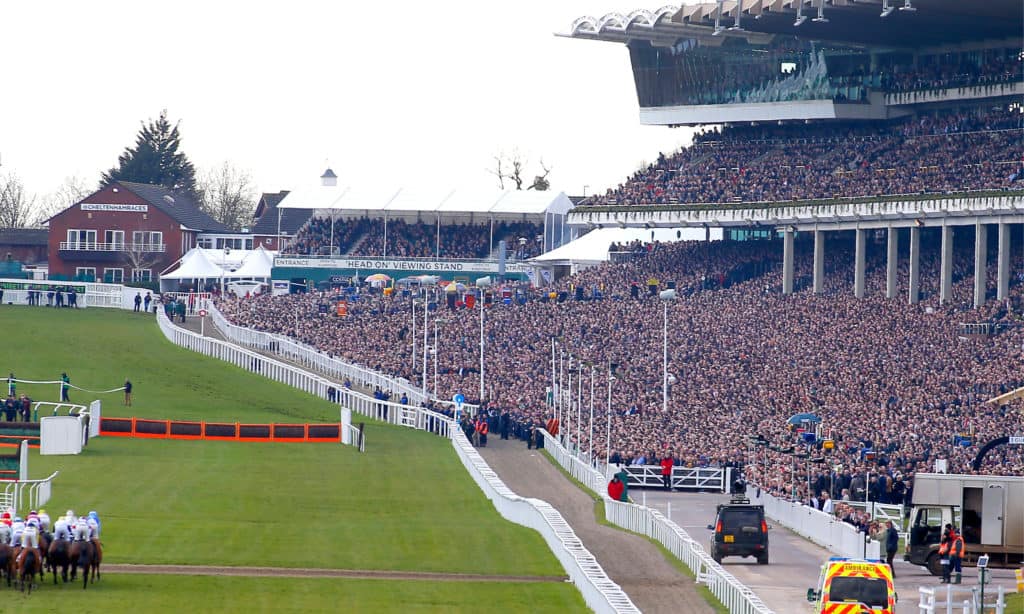 cheltenham, cheltenham racecourse, racehorse welfare
