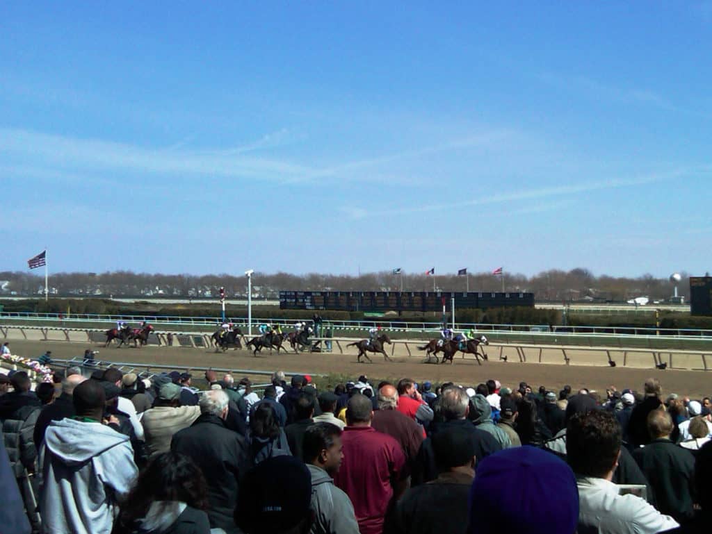 aqueduct, thoroughbred aftercare