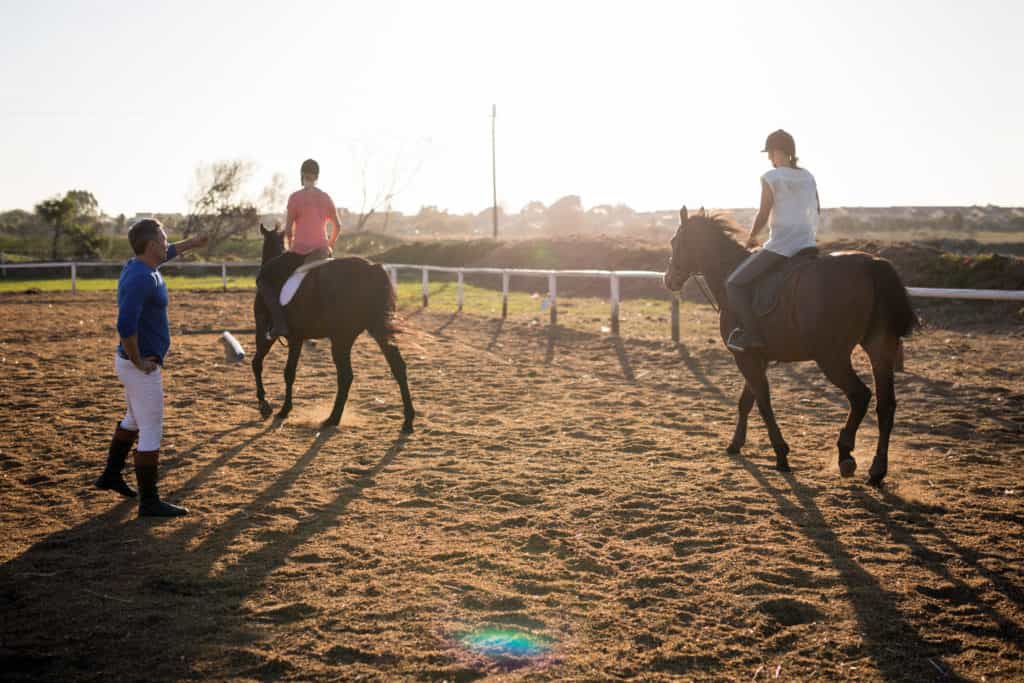 riding lesson; how hard are my lesson horses actually working