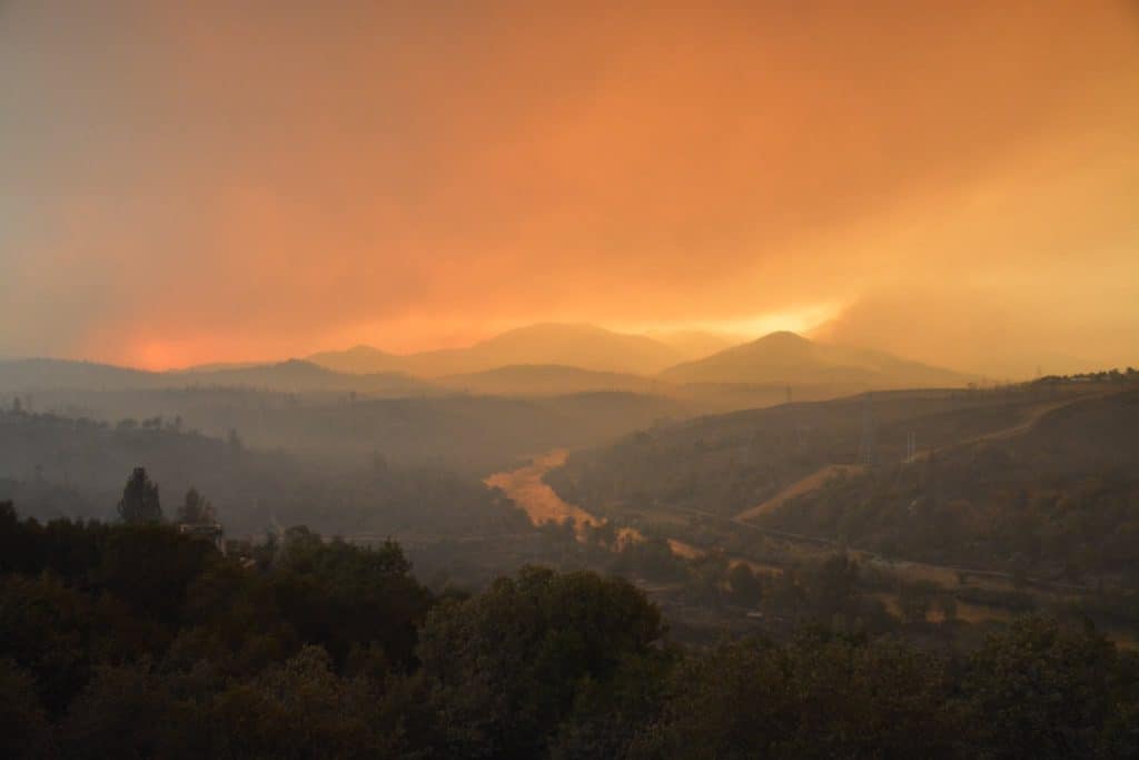 Carr Fire Horse Evacuations