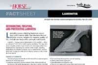 Fact Sheet: Laminitis; top downloads of 2018