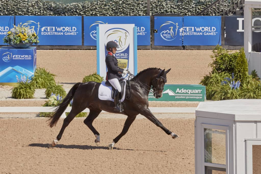 2018 weg para-dressage