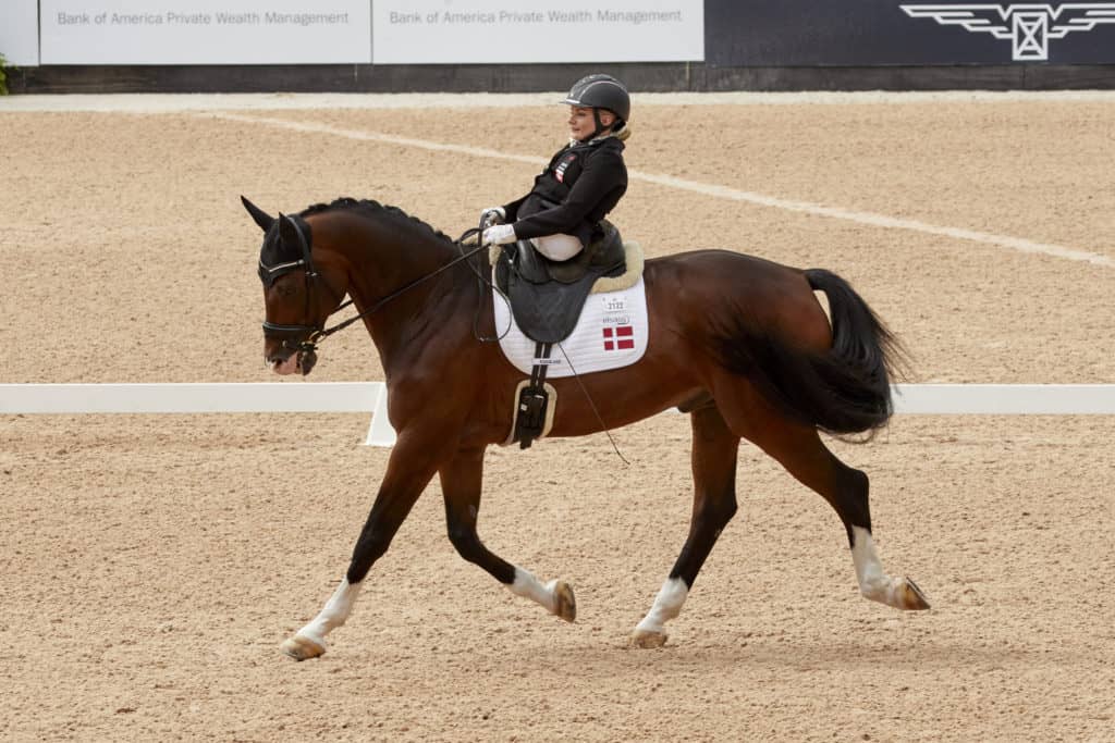 2018 weg para-dressage