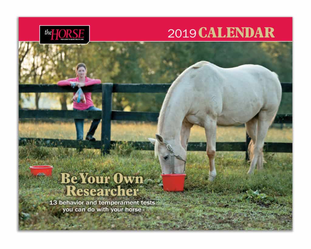the horse 2019 calendar