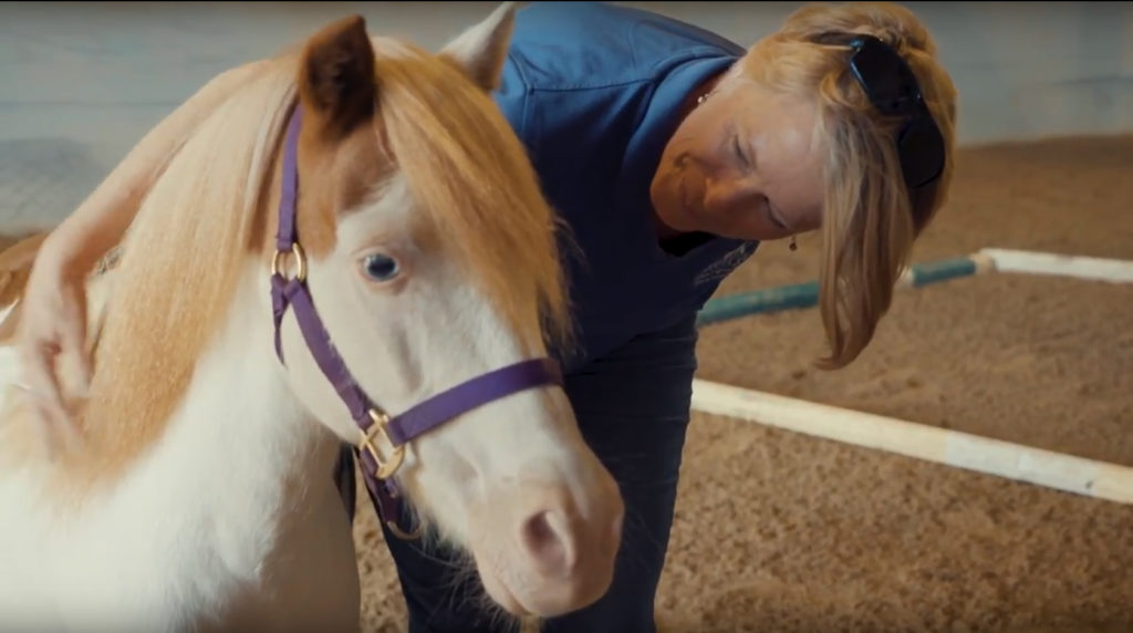 Horses Teach Health Care Students Leadership Competencies