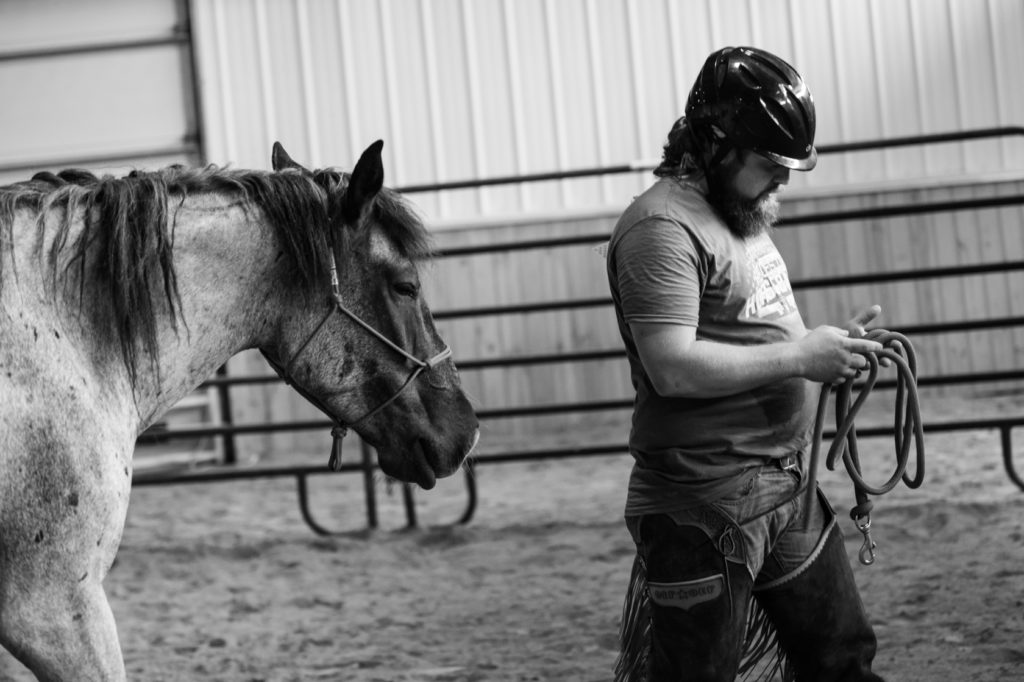 how and why horses help veterans