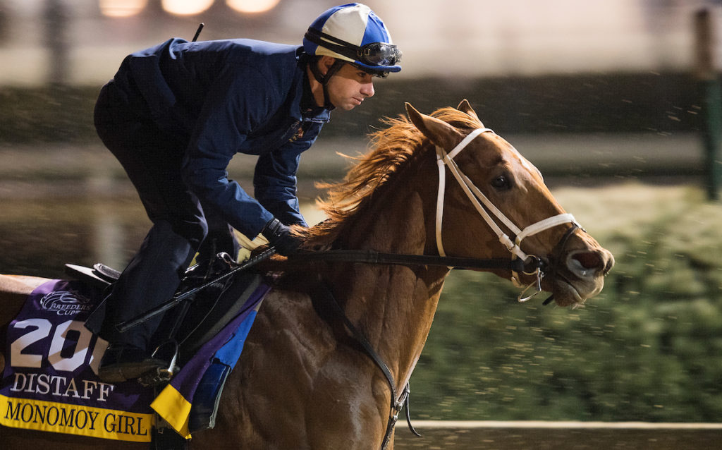 racehorse aftercare