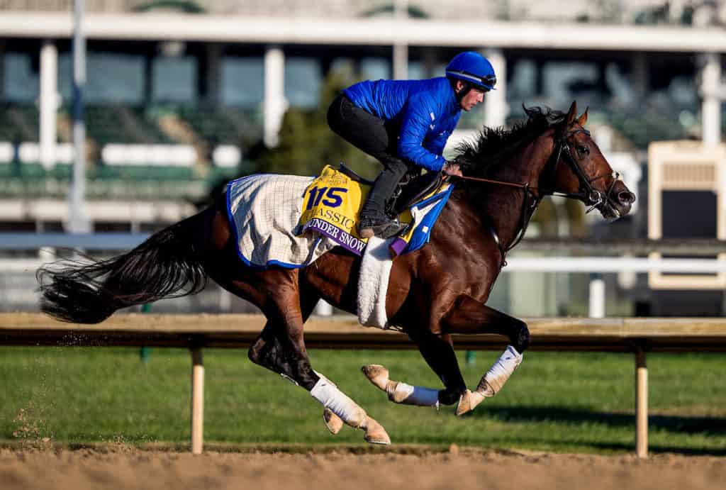 2018 breeders cup classic