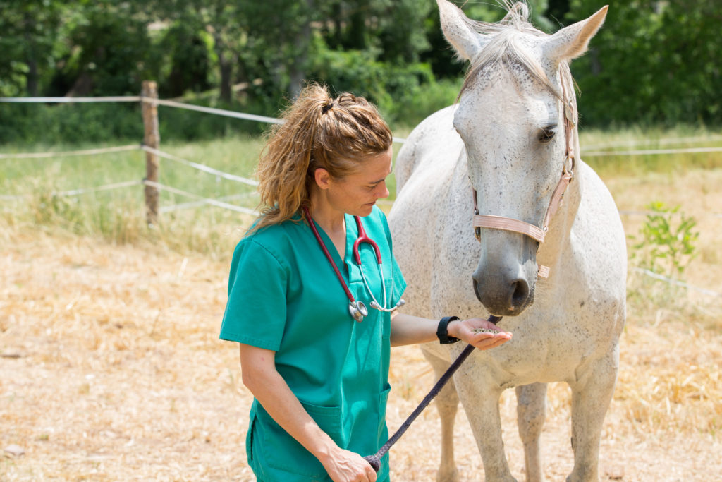veterinary good works