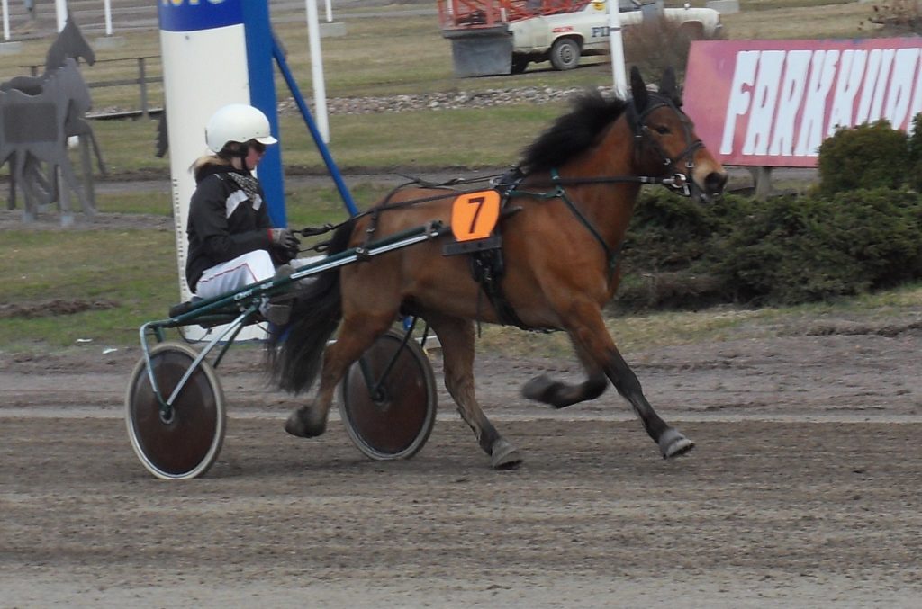 harness racing