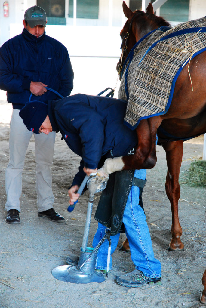shoeing racehorses