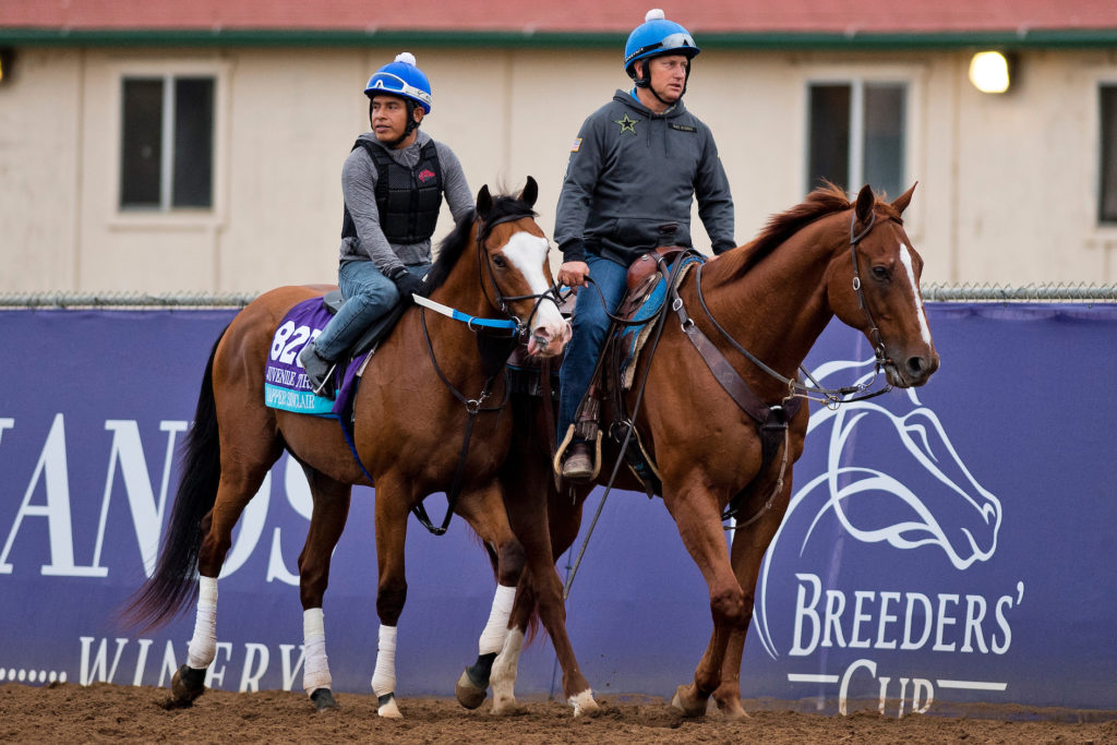 track ponies