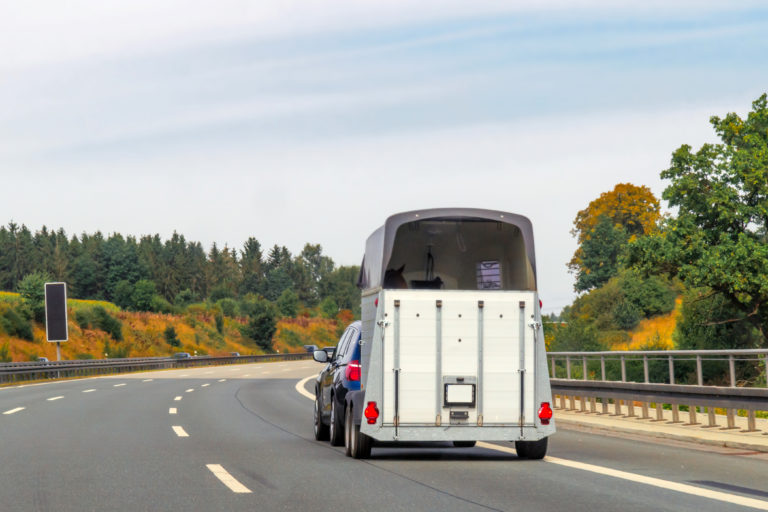 long distance transport