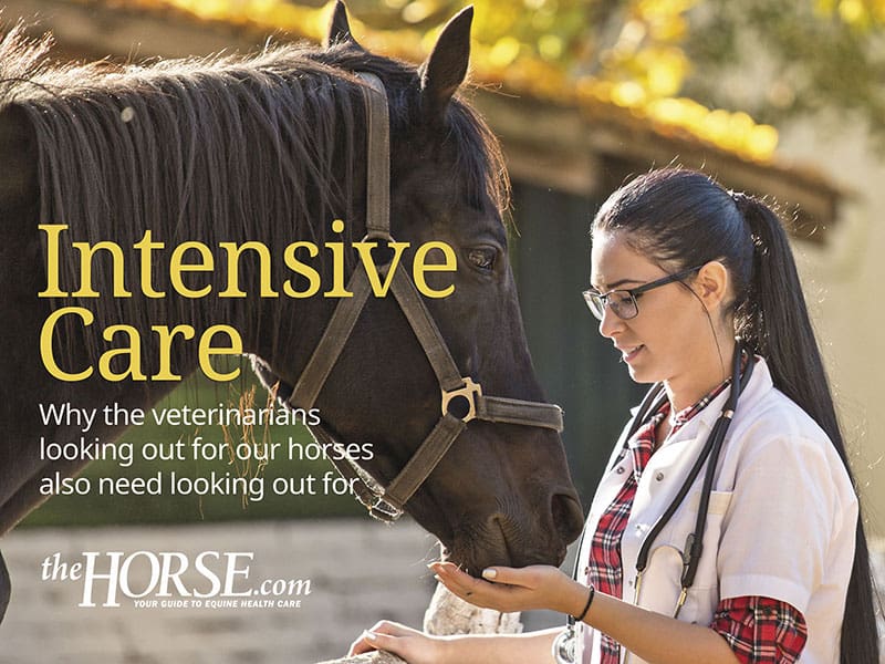 Intensive Care for Equine Veterinarians