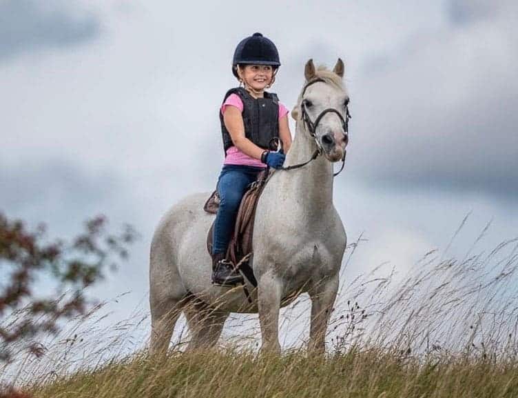 Small But Mighty Caring For Ponies The Horse