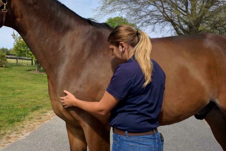 Listening To Horse's Heart (cropped)