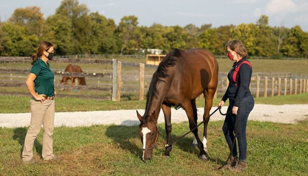 Vet and owner wearing surgical masks with horse during Covid pandemic