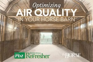 Optimizing Air Quality in your Horse Barn