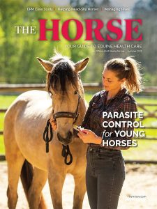 The Horse, Summer 2023 Issue