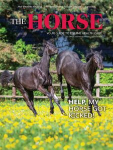 The Horse: Summer 2024 issue Cover