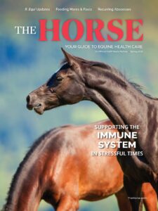 The Horse: Spring 2025 Issue Cover