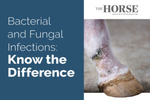 bacterial and fungal skin infections