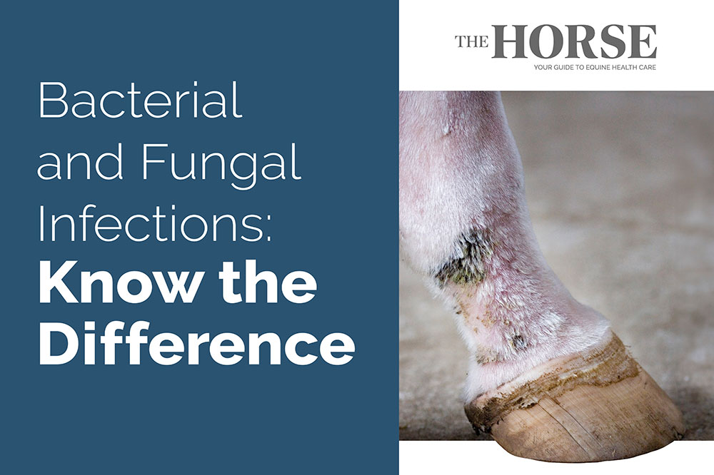 bacterial and fungal skin infections