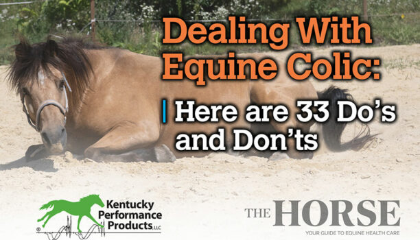 Dealing With Equine Colic