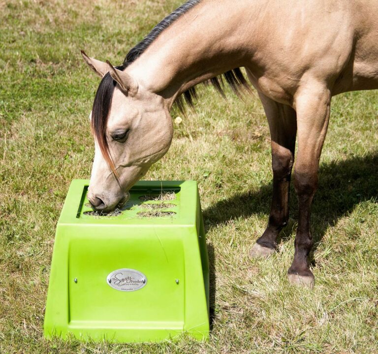 The Skinny on Slow Feeders for Horses – The Horse