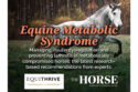 equine metabolic syndrome