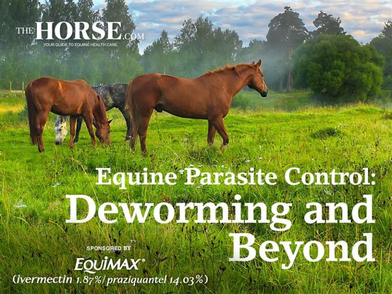 Equine Parasite Control: Deworming and Beyond