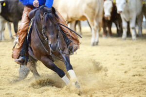 cutting horse