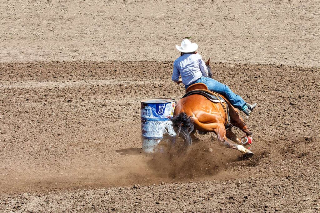 barrel racing horse