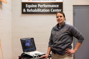 Picture of Tena Ursini, DVM, PhD, Dipl. ACVSMR, CERP