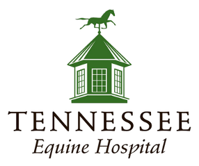 Tennessee Equine Hospital