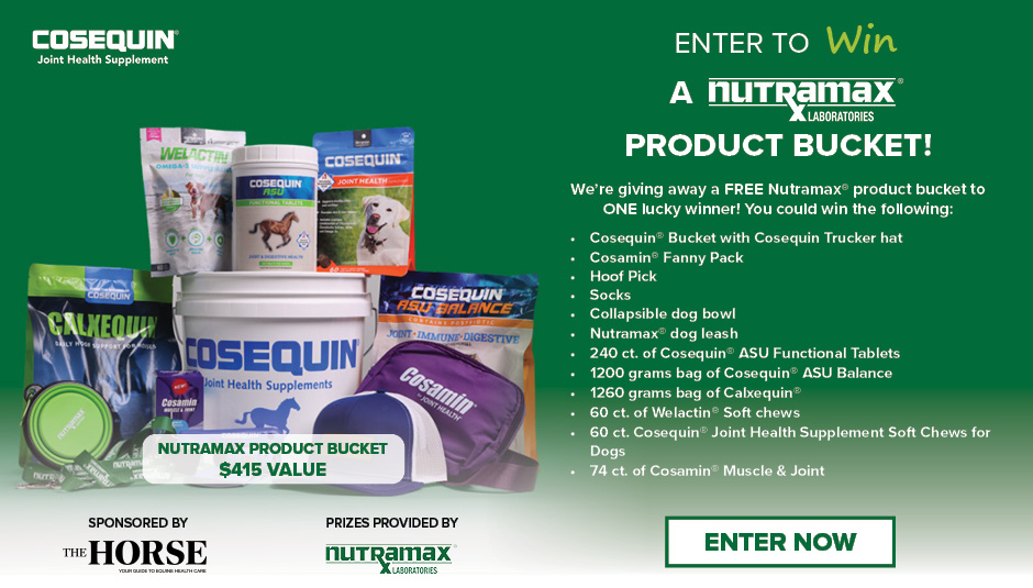 Ener to Win a Nutramax Laboratories Product Bucket.