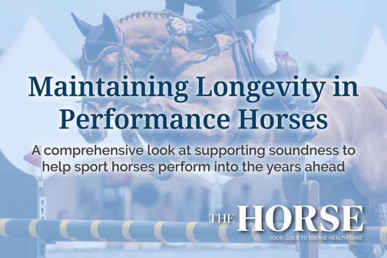Maintaining Longevity in Performance Horses