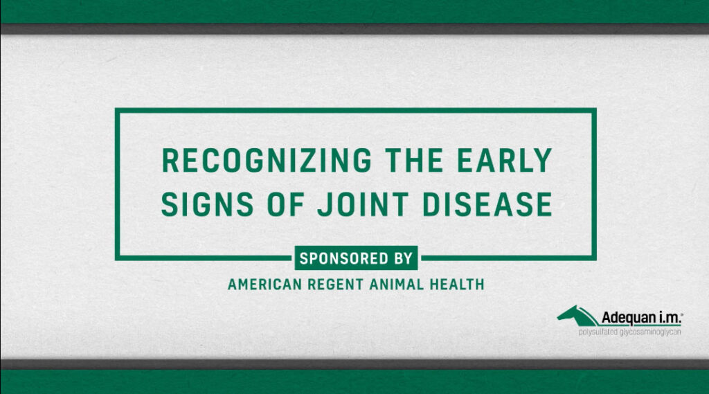 Recognizing the Early Signs of Equine Joint Disease