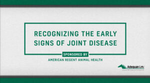 Recognizing the Early Signs of Equine Joint Disease