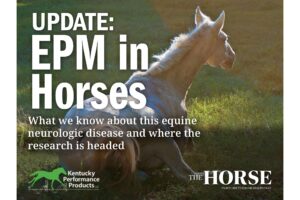 Update: EPM in Horses
