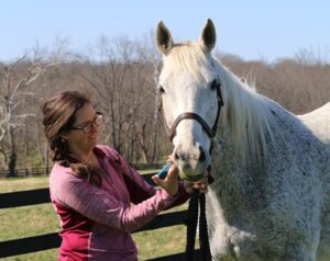deworming gray horse